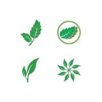 groen blad logo vector