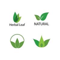 groen blad logo vector