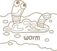 alfabet w voor worm woordenschat school- les tekenfilm kleur Pagina's voor kinderen en volwassen vector