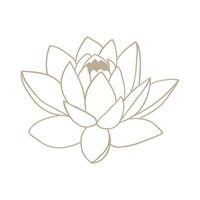 lotus bloem icoon gemakkelijk lineair. groot knop lotus biologisch, meditatie en yoga vector