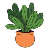 kamerplant gekleurde schets. hand- getrokken kamerplant in tekening stijl geïsoleerd Aan wit achtergrond. vector illustratie.