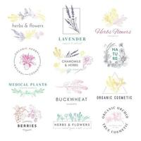 biologische cosmetische logo producten handgetekende vector set