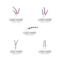 lavendel bloemen aromatisch logo vector pictogram illustratie ontwerp