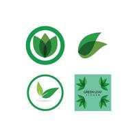 groen blad logo vector