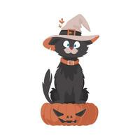 een grappig zwart kat vervelend een heks hoed is zittend Aan een pompoen. de halloween thema is over de spookachtig en eng dingen geassocieerd met halloween. tekenfilm stijl, vector illustratie