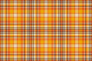 achtergrond plaid controleren van kleding stof naadloos vector met een structuur Schotse ruit textiel patroon.