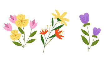 biologisch vlak voorjaar bloem verzameling vector