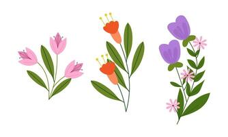 biologisch vlak voorjaar bloem verzameling vector