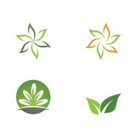 logo's van groene boom blad ecologie vector