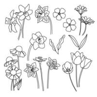 wild bloemen tekening reeks vector