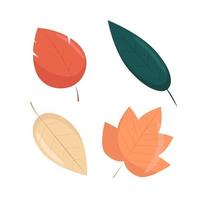 set van herfstbladeren in vlakke stijl, vectorillustratie van heldere herfstbladeren, geïsoleerd vector