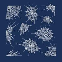 spinneweb vector illustratie spin webben