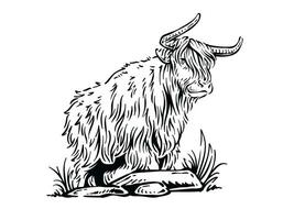 mooi hand- getrokken van Amerikaans bizon wijnoogst illustratie koe jak vol lichaam schetsen tekening vector ontwerp