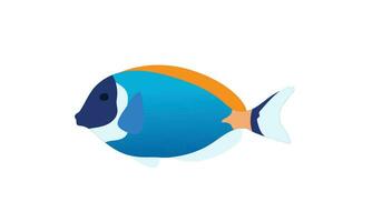 vector kleurrijk vis minimalistische dier ontwerp oceaan vis zwemmen in water vlak vector