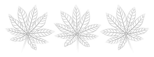 aralia tropisch bladeren set. vector botanisch illustratie, contour grafisch tekening.