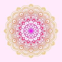 decoratief helling kleur sier- etnisch elementen mandala patroon achtergrond ontwerp pro vector