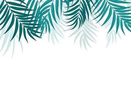 beautifil palmboom blad silhouet achtergrond vectorillustratie vector