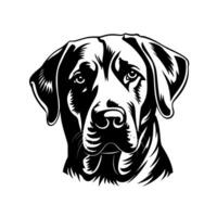 labrador retriever. lijn kunst. silhouet. sjabloon. detailopname. klem kunst. zwart en wit. vector