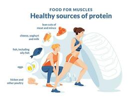 gezond eiwit bron infographics. twee Dames Aan een wit achtergrond zijn aan het doen een training. groei en gezond aan het eten. voedsel pictogrammen. typografie. vlak vector illustratie.