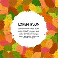 achtergrond met herfst bladeren met een plaats in de centrum voor uw tekst. vector illustratie.