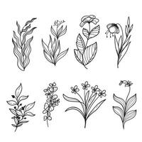 reeks van botanisch blad tekening wilde bloemen botanisch lijn kunst tekeningen verzameling vector