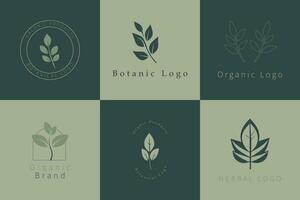 botanisch logo verzameling vector