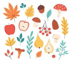 herfst bladeren, planten, paddestoelen, vruchten. vallen seizoen, Hallo herfst vector