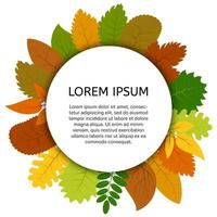 kleurrijk herfst bladeren onder wit ronde label. vector kaart met geel bladeren geïsoleerd Aan wit achtergrond