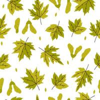 naadloos patroon met groen bladeren en esdoorn- zaden Aan een wit achtergrond. vector grafiek.