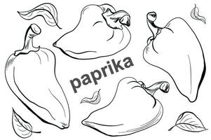 reeks van uit de vrije hand tekeningen van zoet peper, paprika, klok peper in tekening stijl vector illustratie