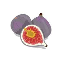 vijgen, een heerlijk rijp fruit nuttig voor Gezondheid vector