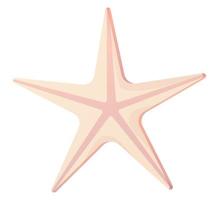 roze zeester zeeschelp. strand clipart, oceaan ster element concept. voorraad vectorillustratie geïsoleerd op een witte achtergrond in platte cartoon-stijl