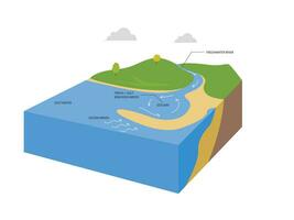 estuaria water lichaam structuur met zout en zoetwater schets diagram. rivier- stroom stromen naar oceaan en menging water vorming vector