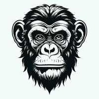 aap vector logo gemakkelijk realistisch natuur primaat Afrika gorilla zijdeaapje chimpansee kunst tekening illustratie wild dier