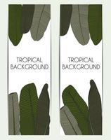 palmboom blad tropische silhouet achtergrond vectorillustratie vector