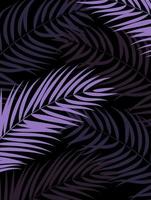 paarse palmboom blad silhouet achtergrond vector illustrat