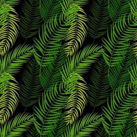 palmboom blad silhouet naadloze patroon achtergrond vector