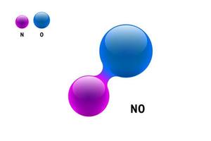 chemie model molecuul stikstofoxide geen wetenschappelijk element formule. geïntegreerde deeltjes natuurlijke anorganische 3d stikstofmonoxide moleculaire structuur bestaande. twee volume atoom vector bollen