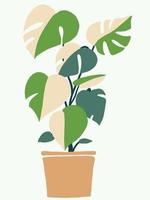 eenvoud monstera plant uit de vrije hand tekenen plat ontwerp. vector