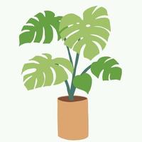 eenvoud monstera plant uit de vrije hand tekenen plat ontwerp. vector