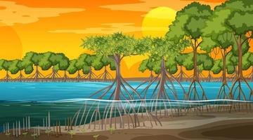 mangroveboslandschapsscène bij zonsondergangtijd vector