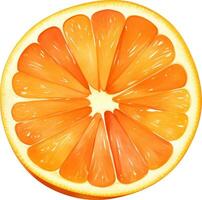 gesneden oranje fruit geïsoleerd hand- getrokken schilderij illustratie vector