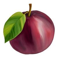 Pruim fruit met blad geïsoleerd hand- getrokken schilderij illustratie vector