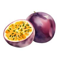 een geheel en voor de helft passie fruit met zaden geïsoleerd hand- getrokken schilderij illustratie vector