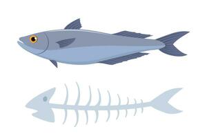vis met zijn visgraat, Aan wit achtergrond. biologisch afval. vector illustratie.