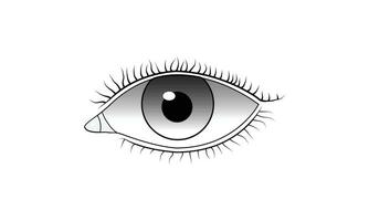menselijk oog illustratie vector