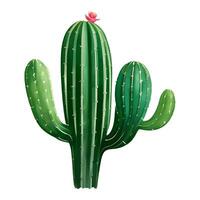 cactus met bloem geïsoleerd gedetailleerd hand- getrokken schilderij illustratie vector