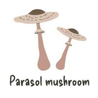 parasol paddestoel in vlak stijl geïsoleerd Aan een wit achtergrond. eetbaar Woud champignons. vector illustratie.