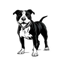 zwart en wit pitbull illustratie clip art ontwerp Aan wit achtergrond vector