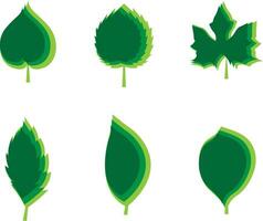 divers types van bladeren dat zijn gestapeld vector